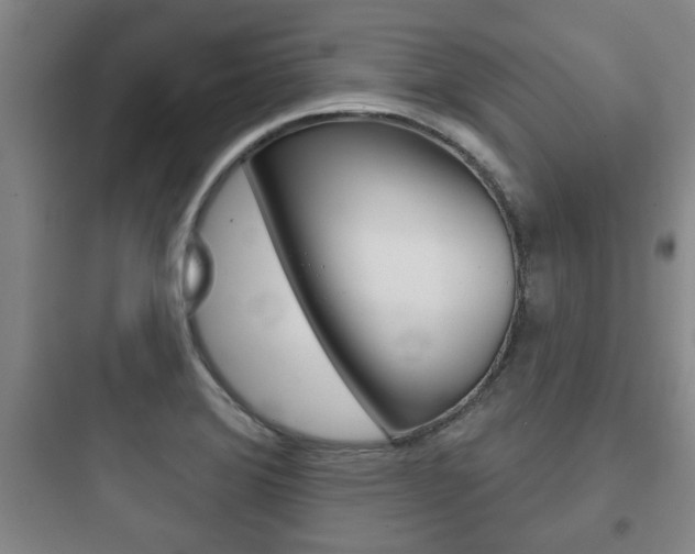X0000097951372200803241009