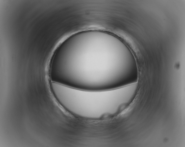 X0000097951373200803241009