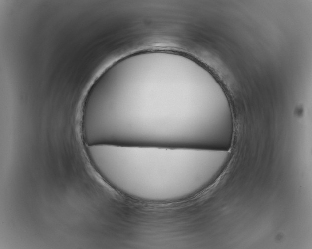 X0000097951374200803241009
