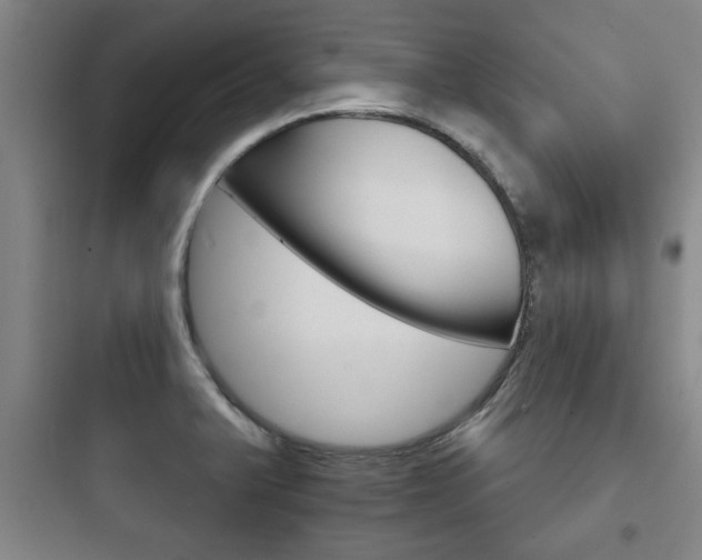 X0000097951375200803241009