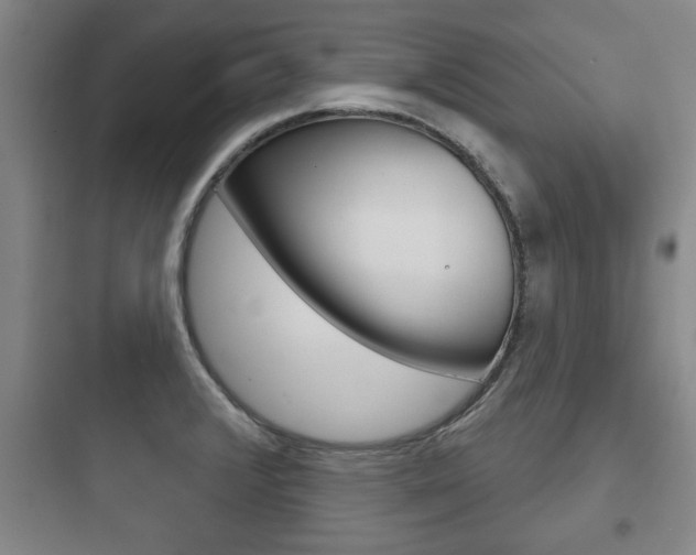 X0000097951376200803241009