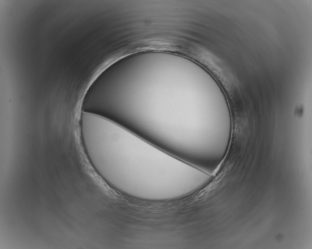X0000097951378200803241009