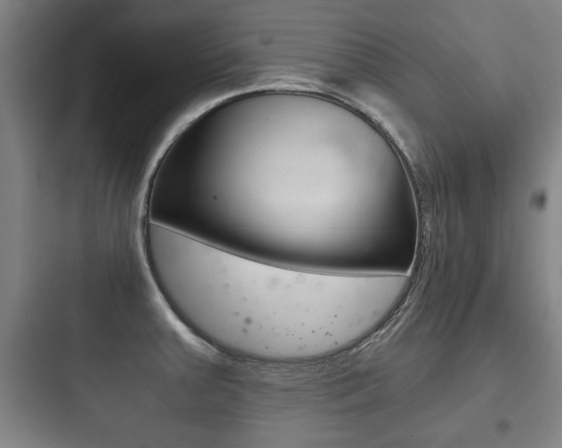 X0000097951379200803241009