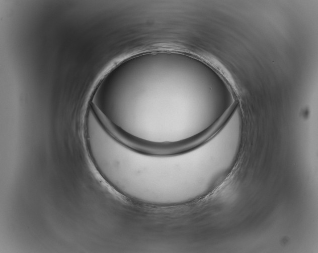 X0000097951381200803241008