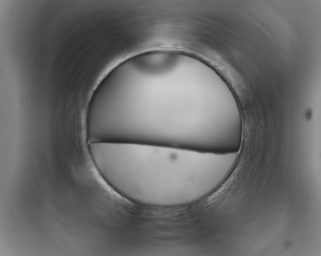 X0000097951382200803241008
