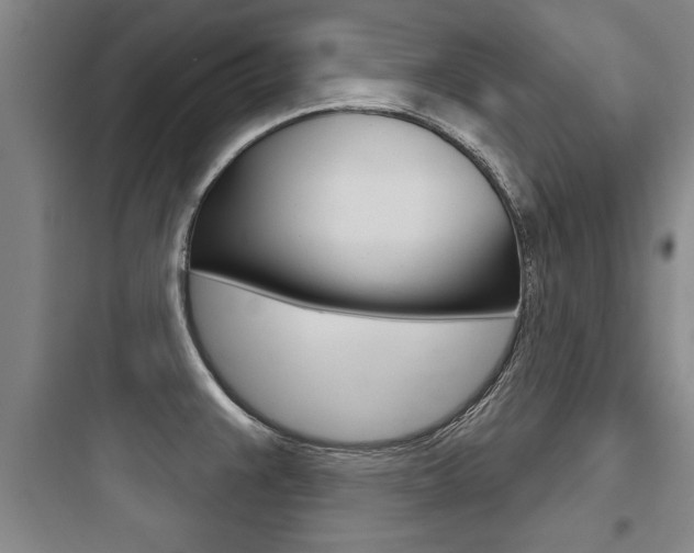 X0000097951383200803241008