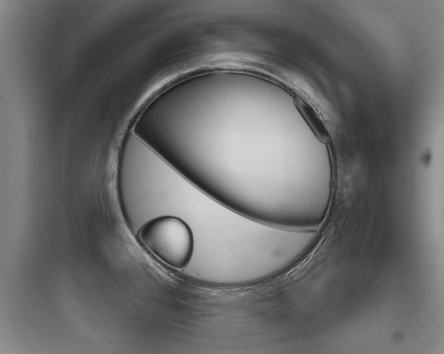 X0000097951384200803241008