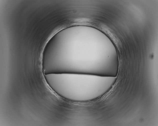 X0000097951386200803241008