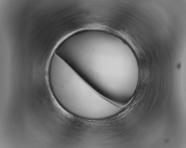 X0000097951387200803241008