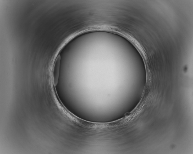 X0000097951389200803241008