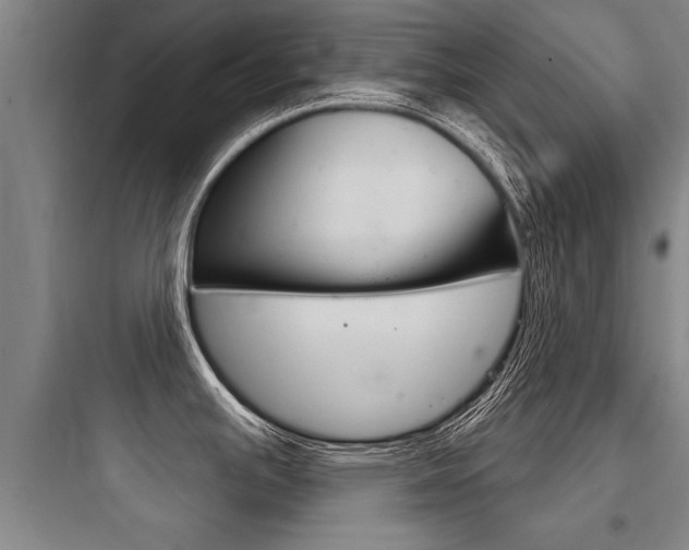 X0000097951391200803241008