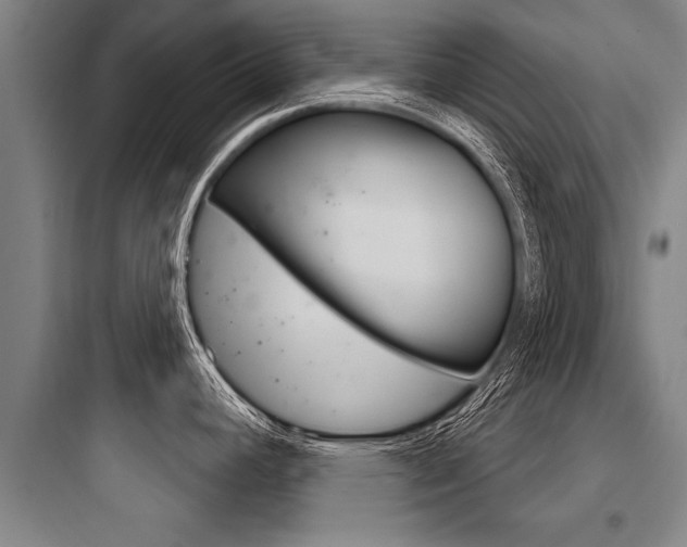 X0000097951392200803241008