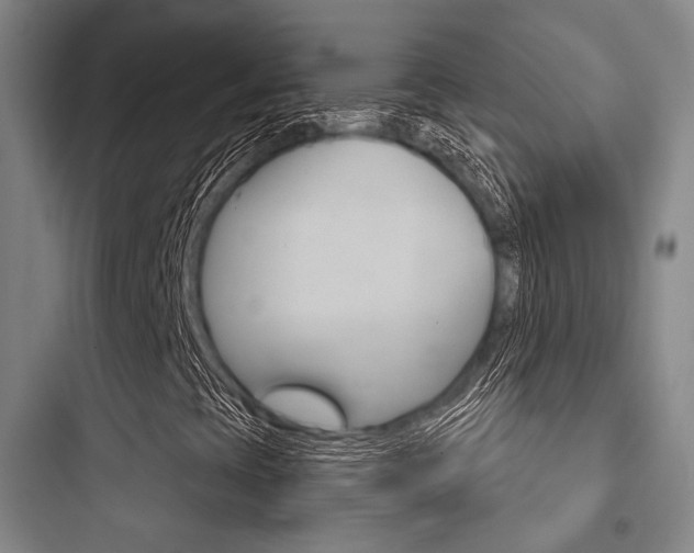 X0000097951393200803241008