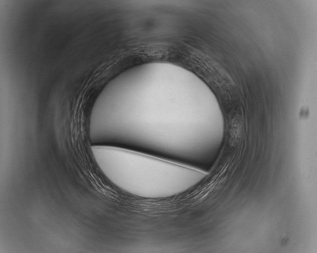 X0000097951394200803241008