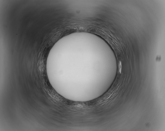 X0000097951395200803241008