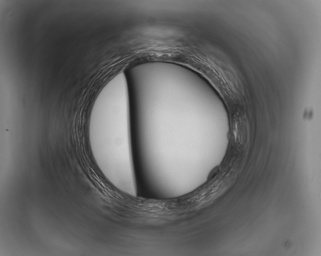 X0000097951396200803241008