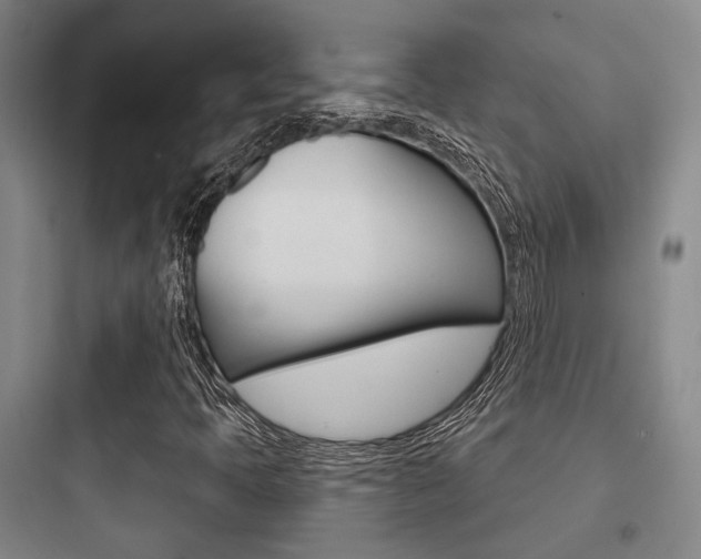 X0000097951397200803241008