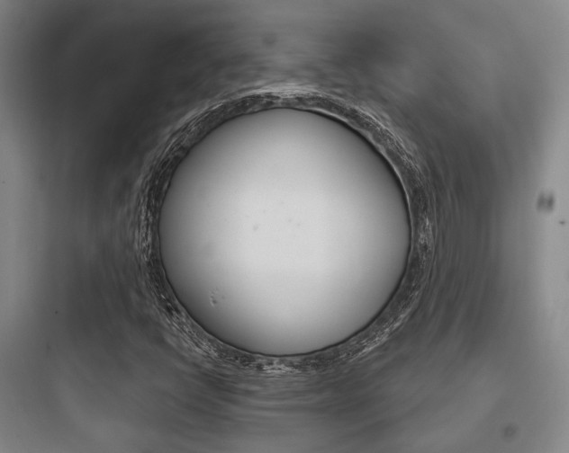 X0000097951398200803241008