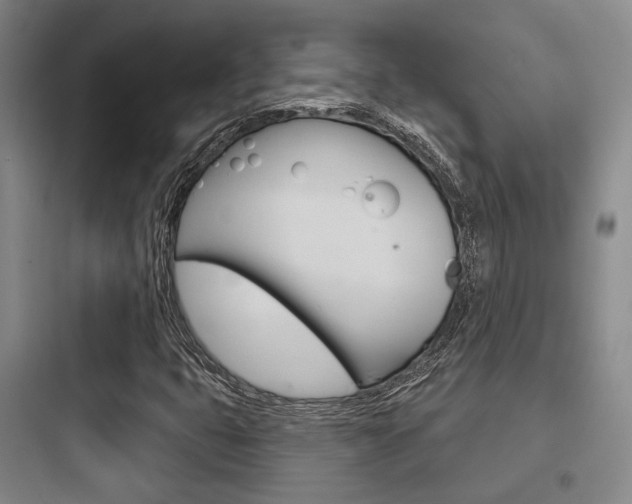 X0000097951399200803241008
