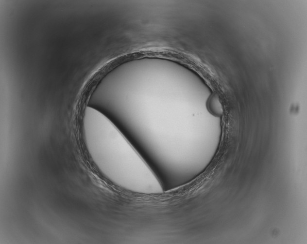 X0000097951400200803241008