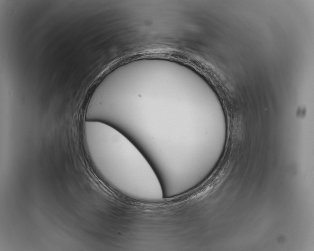 X0000097951401200803241008
