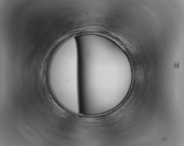 X0000097951402200803241008