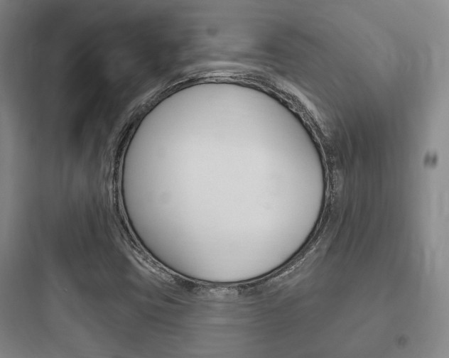 X0000097951403200803241008