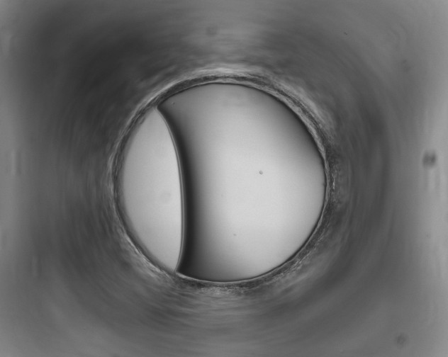 X0000097951404200803241008