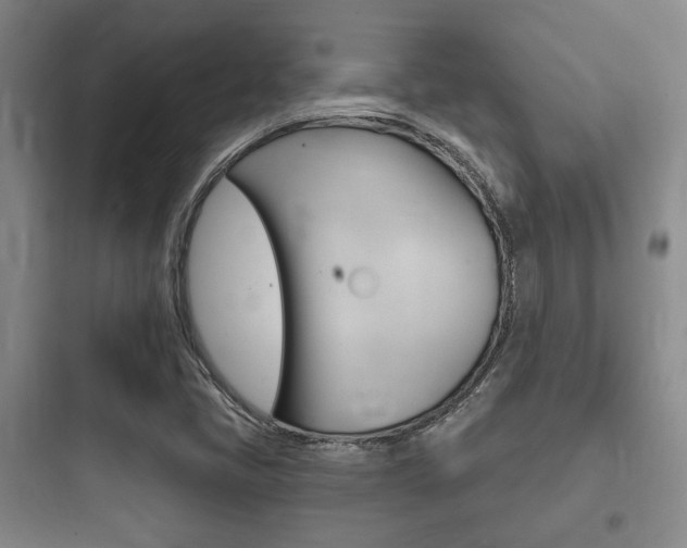 X0000097951405200803241008