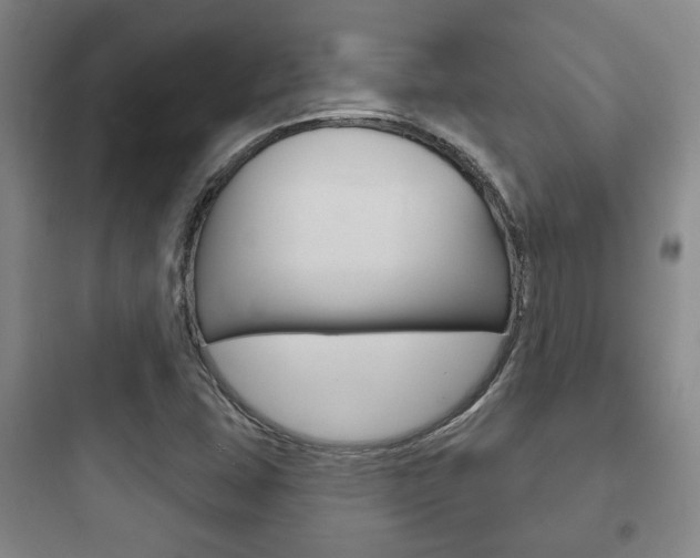 X0000097951407200803241008