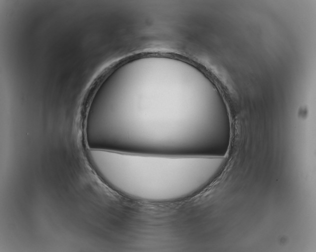 X0000097951408200803241008