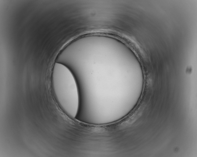 X0000097951409200803241008
