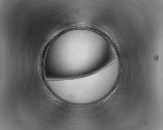 X0000097951410200803241008
