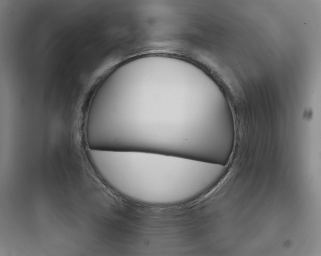 X0000097951411200803241008