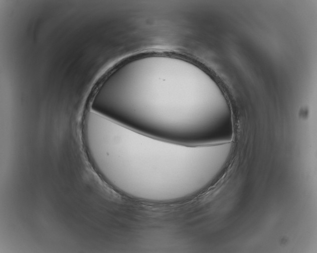X0000097951412200803241008