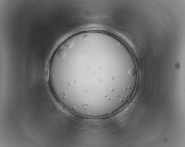 X0000097951413200803241008