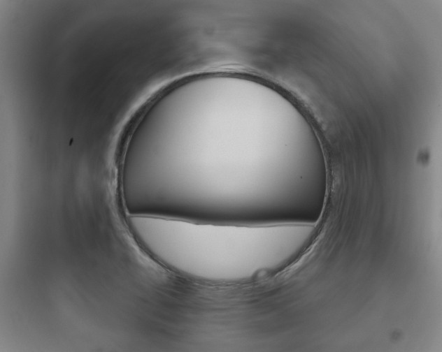 X0000097951414200803241008