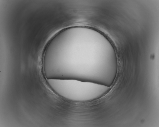 X0000097951415200803241008