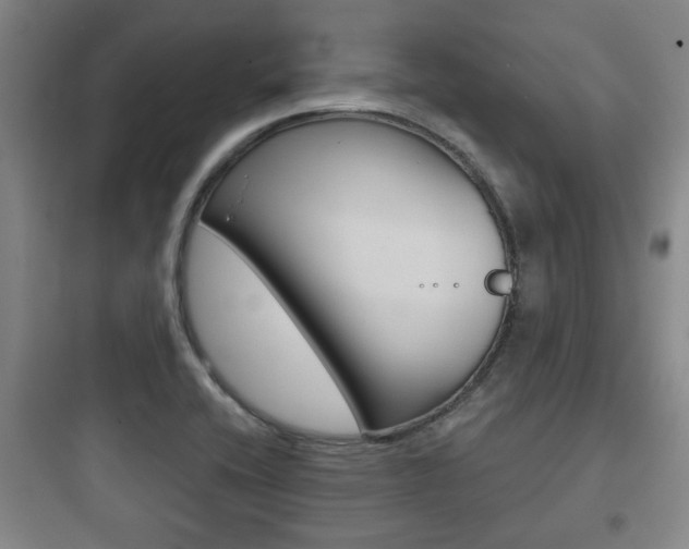 X0000097951416200803241008