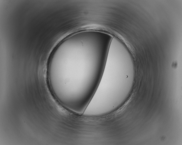 X0000097951418200803241008