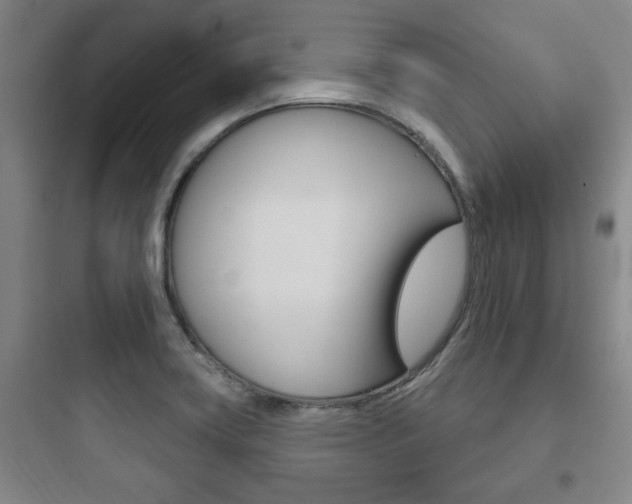 X0000097951419200803241008