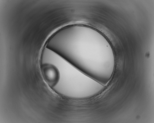 X0000097951420200803241008