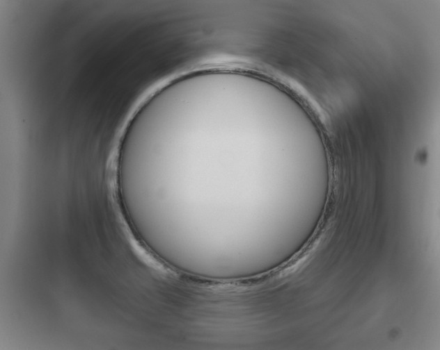 X0000097951421200803241008