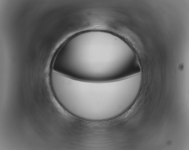 X0000097951422200803241008