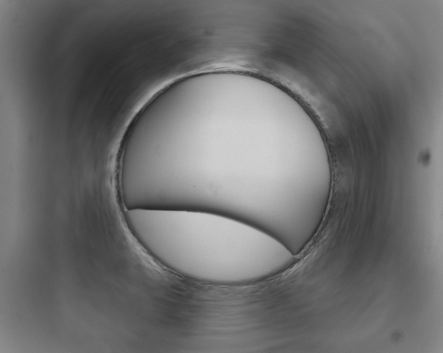 X0000097951423200803241008