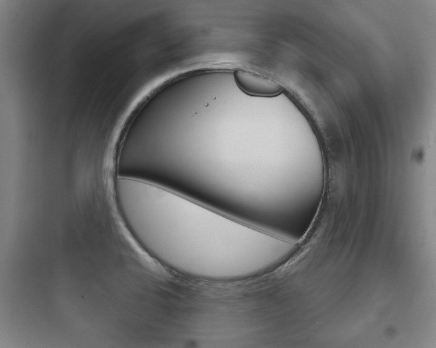 X0000097951424200803241008