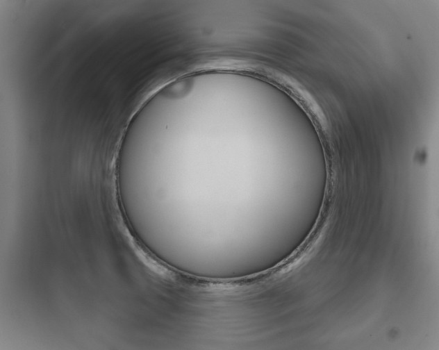 X0000097951425200803241008