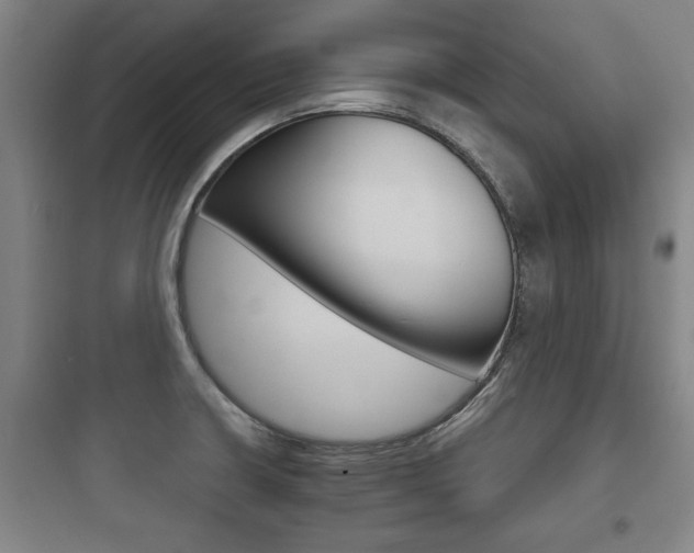 X0000097951426200803241008