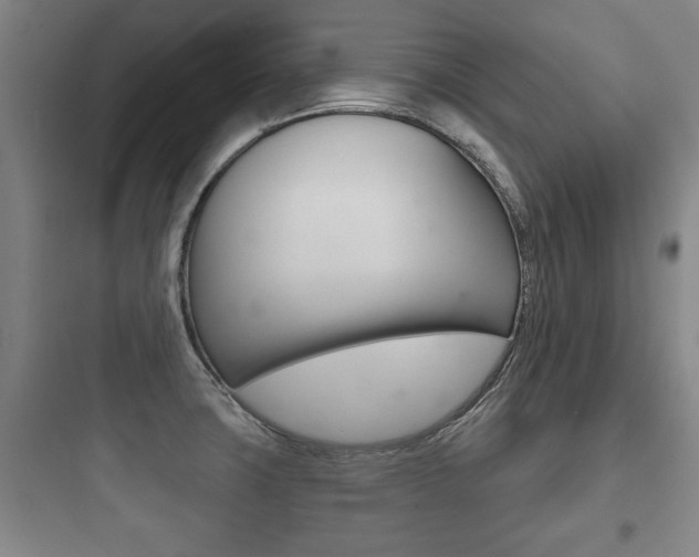 X0000097951427200803241008