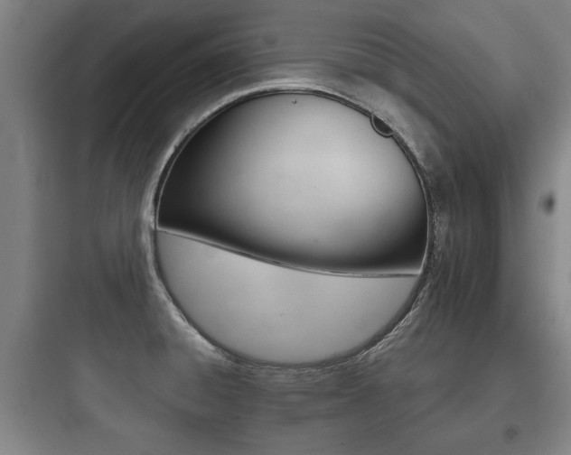 X0000097951428200803241008